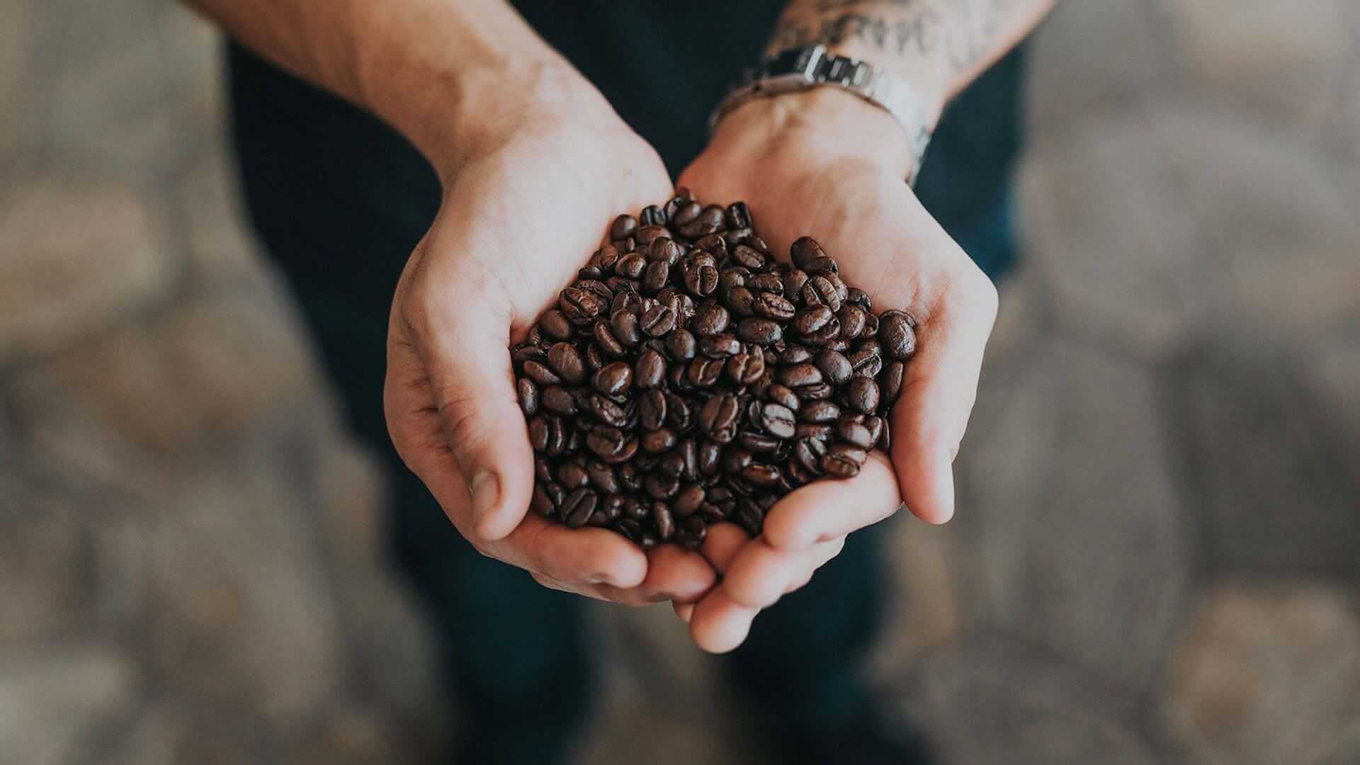 Cozy interior of Louis Bistro Café
